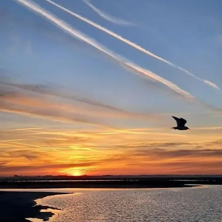 Appartement Les Pieds Dans Le Sable *